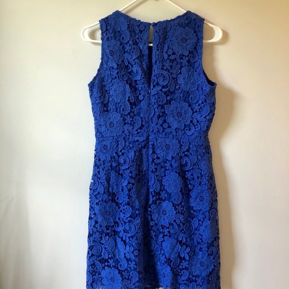 NWT Jcrew Royal Blue Lace Dress Sz 8P - Picture 3 of 7